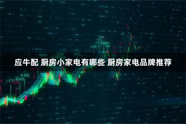 应牛配 厨房小家电有哪些 厨房家电品牌推荐