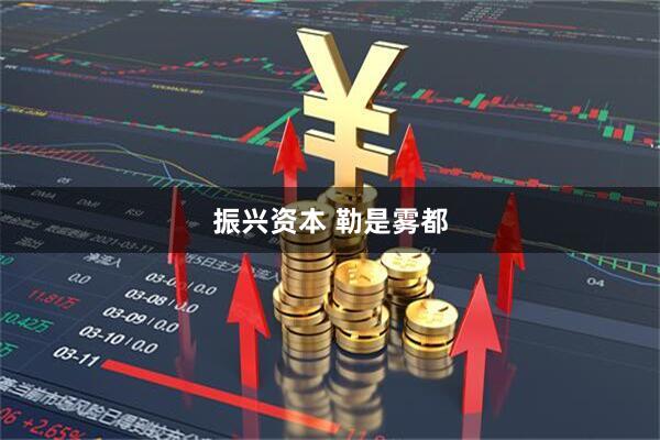 振兴资本 勒是雾都