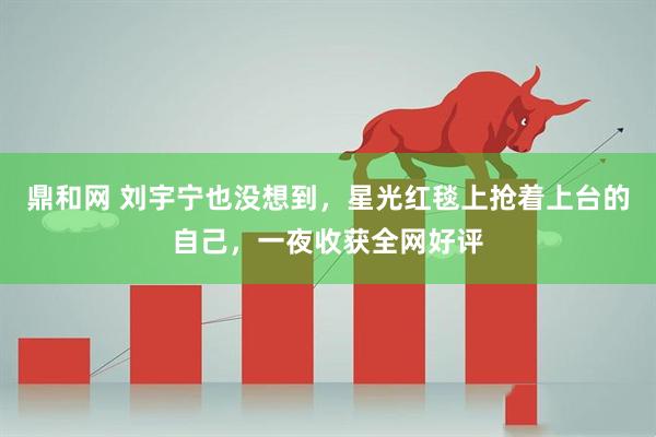 鼎和网 刘宇宁也没想到，星光红毯上抢着上台的自己，一夜收获全网好评